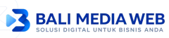 Bali Web Design, Jasa Pembuatan Website di Bali